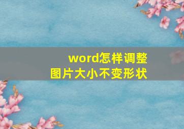 word怎样调整图片大小不变形状