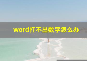 word打不出数字怎么办