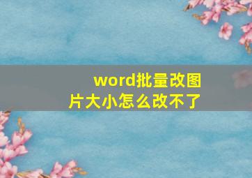 word批量改图片大小怎么改不了