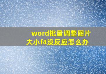 word批量调整图片大小f4没反应怎么办