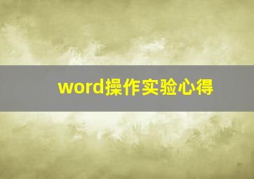 word操作实验心得