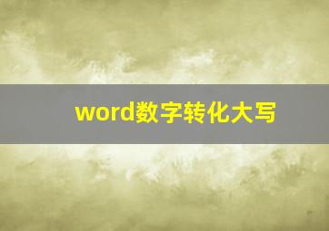 word数字转化大写