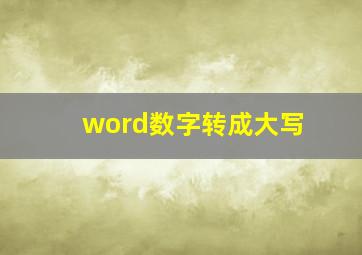 word数字转成大写