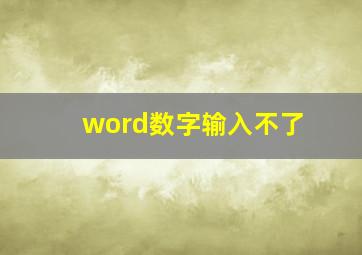 word数字输入不了