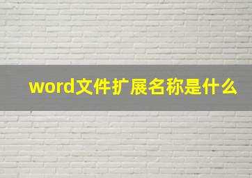 word文件扩展名称是什么