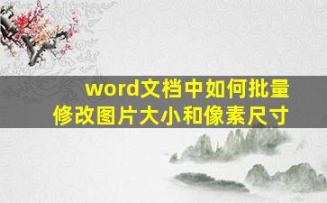 word文档中如何批量修改图片大小和像素尺寸