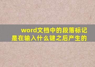 word文档中的段落标记是在输入什么键之后产生的