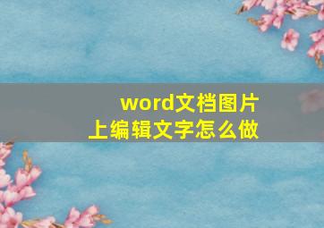 word文档图片上编辑文字怎么做