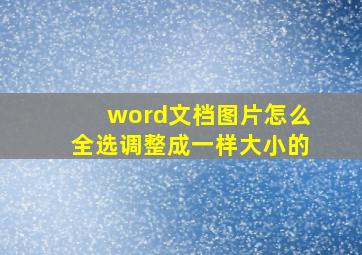 word文档图片怎么全选调整成一样大小的