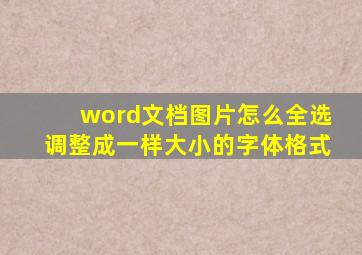 word文档图片怎么全选调整成一样大小的字体格式