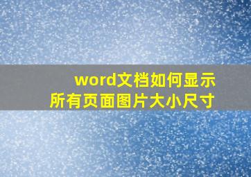 word文档如何显示所有页面图片大小尺寸