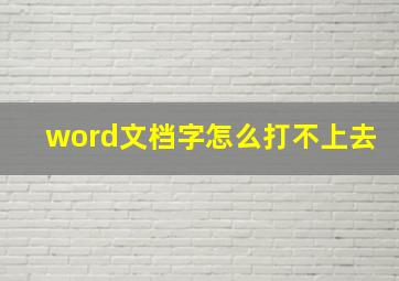 word文档字怎么打不上去