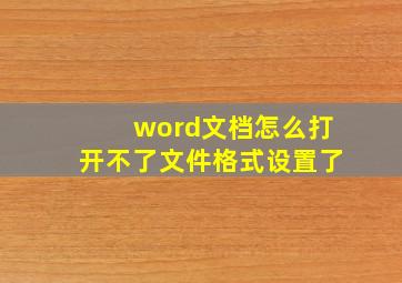 word文档怎么打开不了文件格式设置了