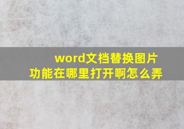 word文档替换图片功能在哪里打开啊怎么弄