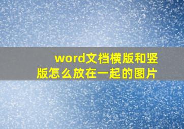 word文档横版和竖版怎么放在一起的图片