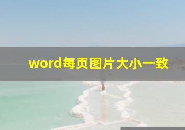 word每页图片大小一致