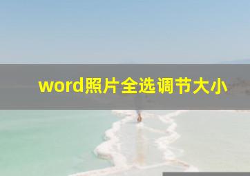 word照片全选调节大小