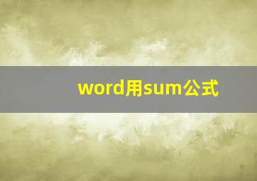 word用sum公式