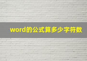 word的公式算多少字符数