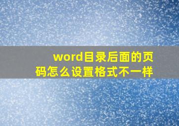 word目录后面的页码怎么设置格式不一样