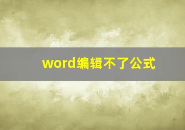 word编辑不了公式