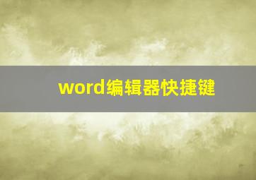 word编辑器快捷键