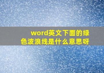 word英文下面的绿色波浪线是什么意思呀