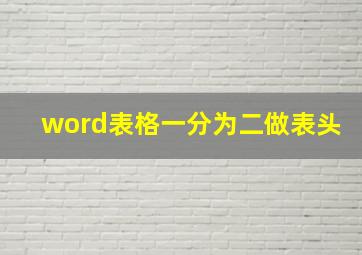 word表格一分为二做表头