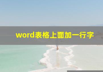 word表格上面加一行字