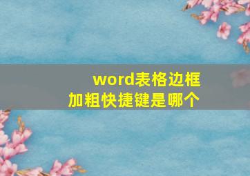 word表格边框加粗快捷键是哪个