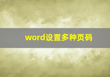 word设置多种页码