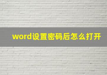 word设置密码后怎么打开