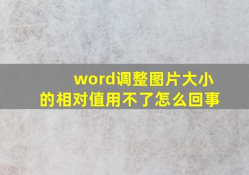 word调整图片大小的相对值用不了怎么回事