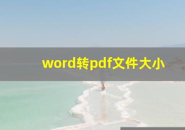 word转pdf文件大小