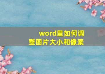 word里如何调整图片大小和像素