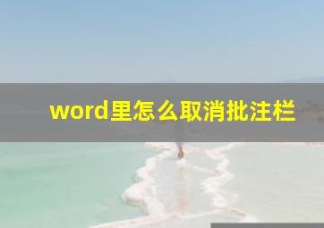 word里怎么取消批注栏