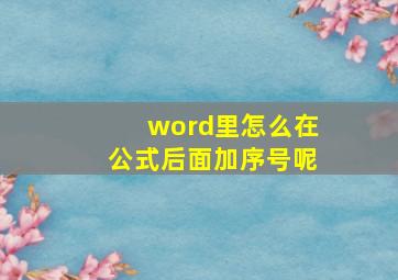 word里怎么在公式后面加序号呢