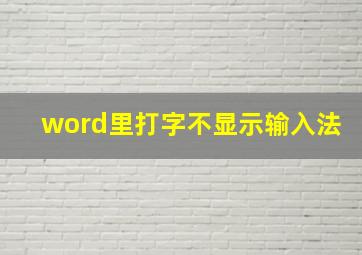 word里打字不显示输入法