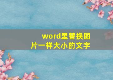 word里替换图片一样大小的文字