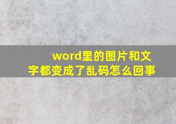 word里的图片和文字都变成了乱码怎么回事