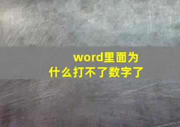 word里面为什么打不了数字了