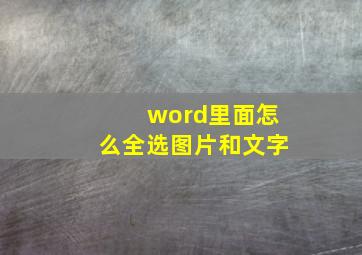 word里面怎么全选图片和文字