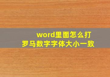 word里面怎么打罗马数字字体大小一致