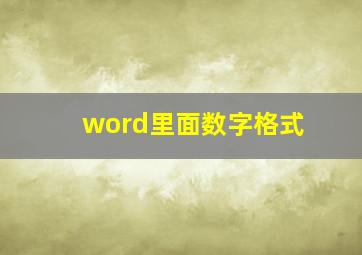 word里面数字格式