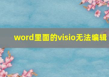 word里面的visio无法编辑