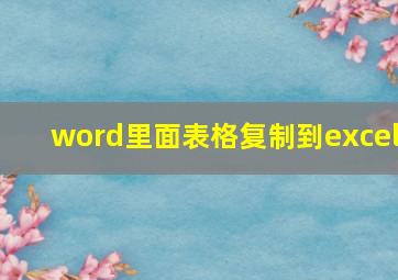 word里面表格复制到excel