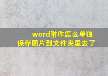 word附件怎么单独保存图片到文件夹里去了