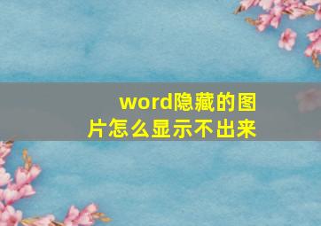 word隐藏的图片怎么显示不出来