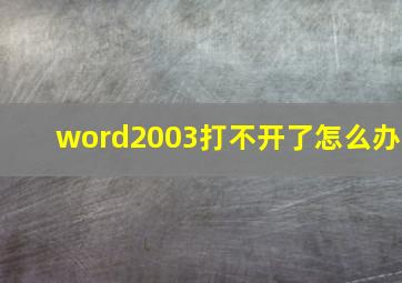 word2003打不开了怎么办