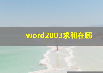 word2003求和在哪